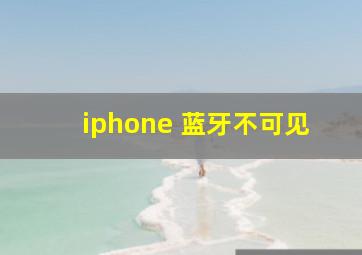 iphone 蓝牙不可见